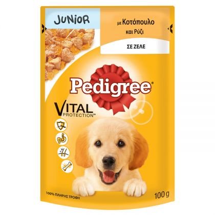 Pedigree Junior Σε Ζελέ 100g
