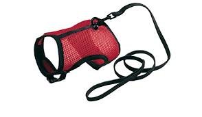 Οδηγός-επιστήθιο Ferplast Jogging Small