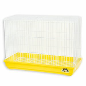 ΚΛΟΥΒΟΤΕΧΝΙΚΗ Απόλλων Κλουβί Μεσαίων Παπαγάλων & Μάινας 65x30x47cm