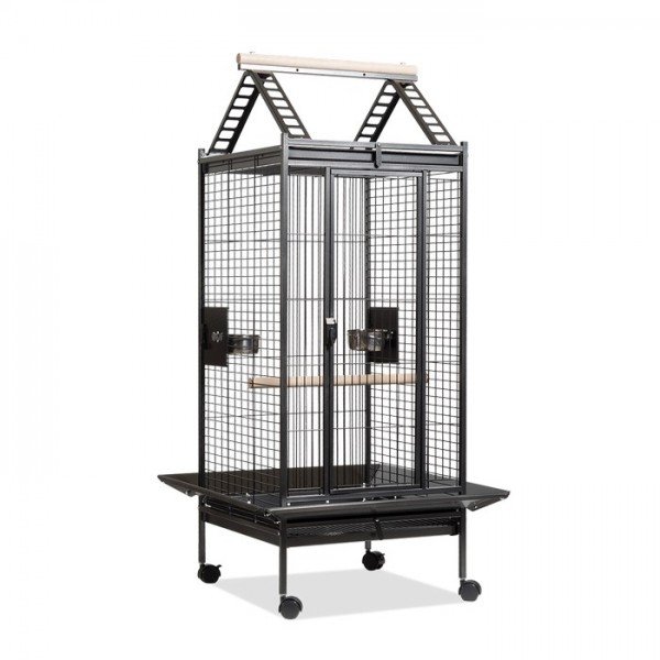 186a-891G-0-2-0-1-2-600x600