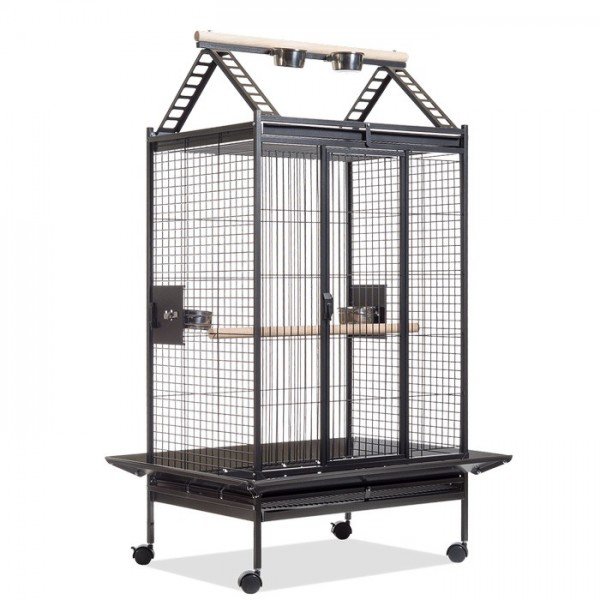 1eb4-893G-0-2-0-1-2-600x600