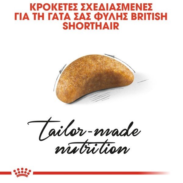 2368_rc-fbn-kittenbritishshorthair-cv-eretailkit-2