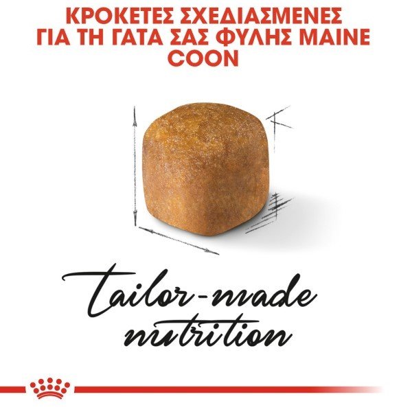 2382_rc-fbn-kittenmainecoon-cv-eretailkit-2