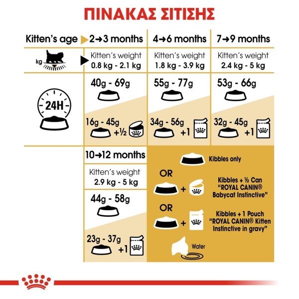 2405_rc-fbn-kittenpersian-cv-eretailkit-5