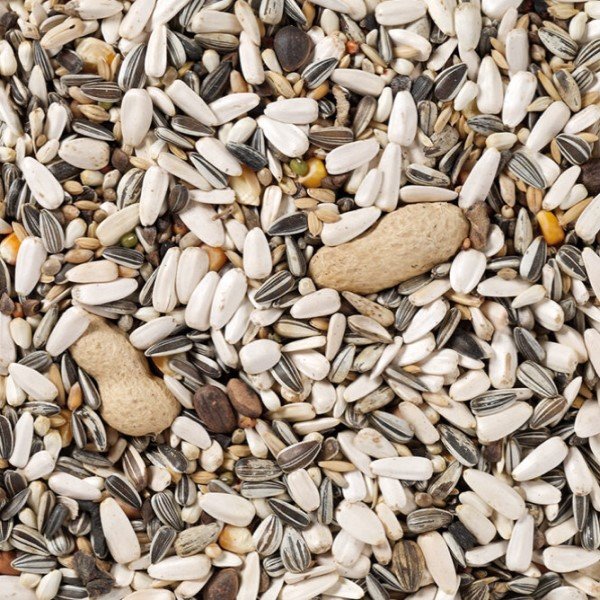 DeliNature_60 – Papegaai Basis_2