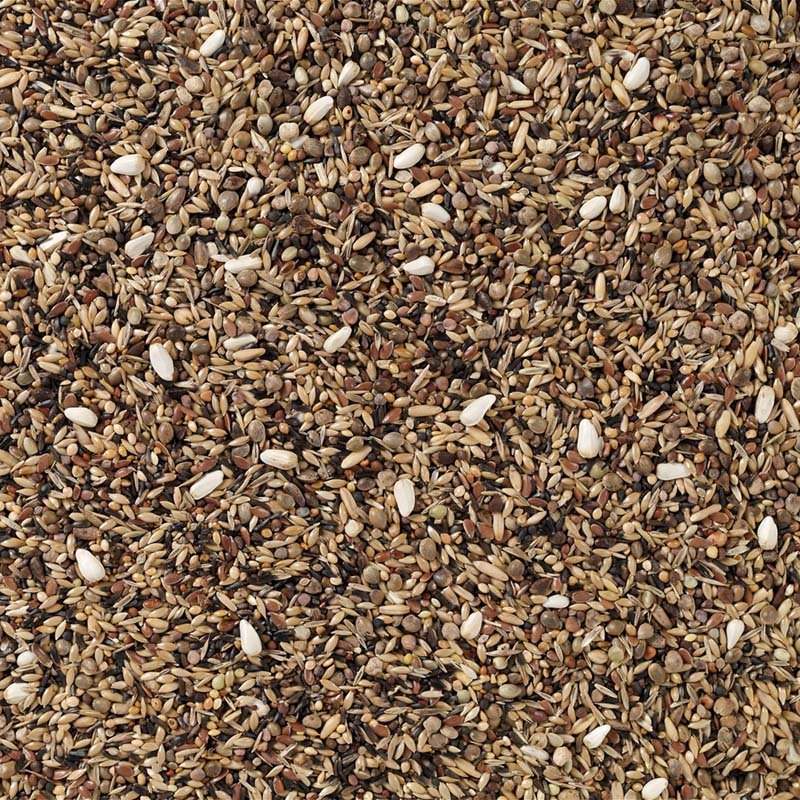 DeliNature_83 – Europese Vogels zonder Raapzaad_2