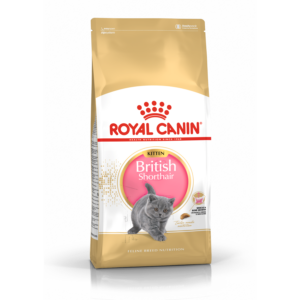 ROYAL CANIN British Shorthair Kitten