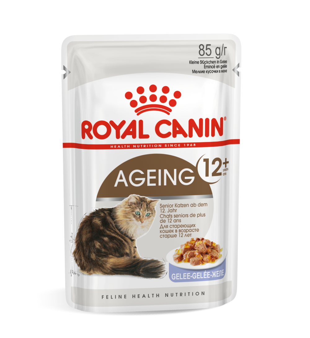 FHNW16_AG12_CIJ_N_POUCH_High_Res.___Print_44141