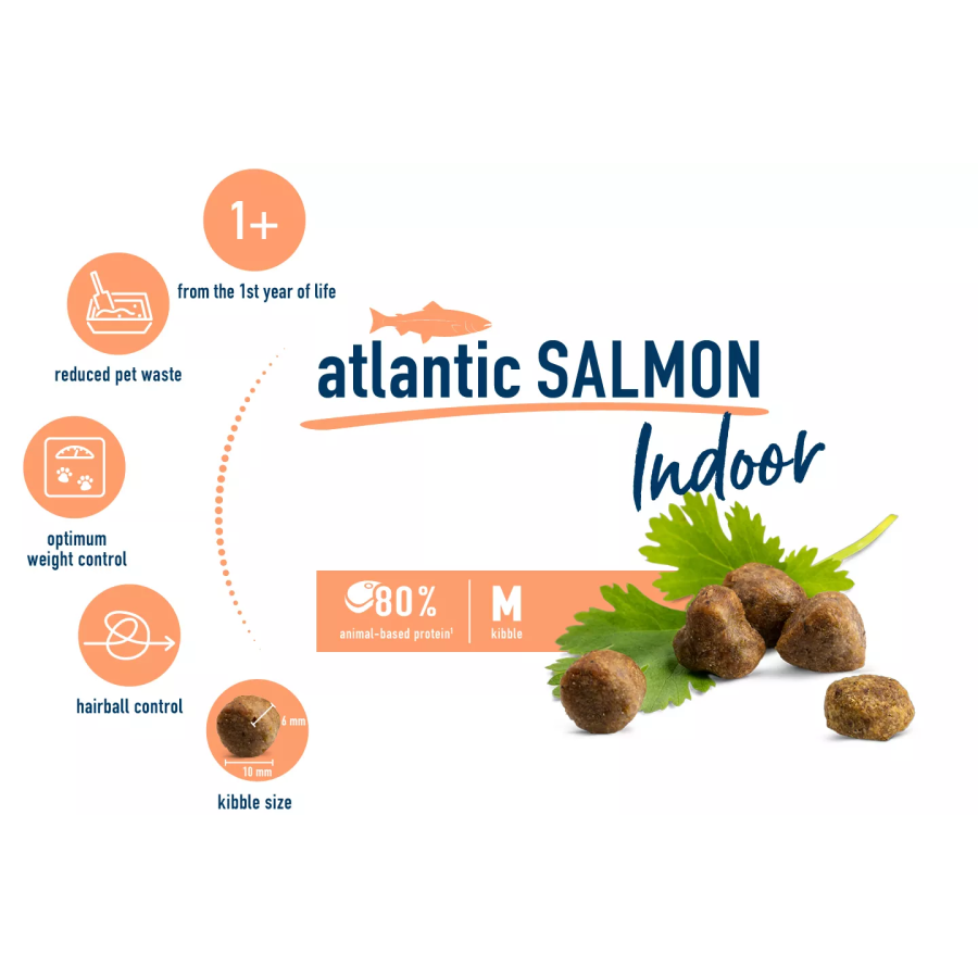 HC_Indoor_Adult_atlantic_salmon_EN_02