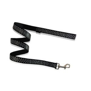 PET INTEREST Dots Leash