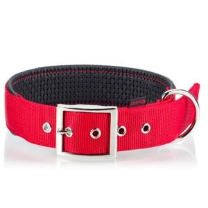 PET INTEREST Neoprene Standard Collars
