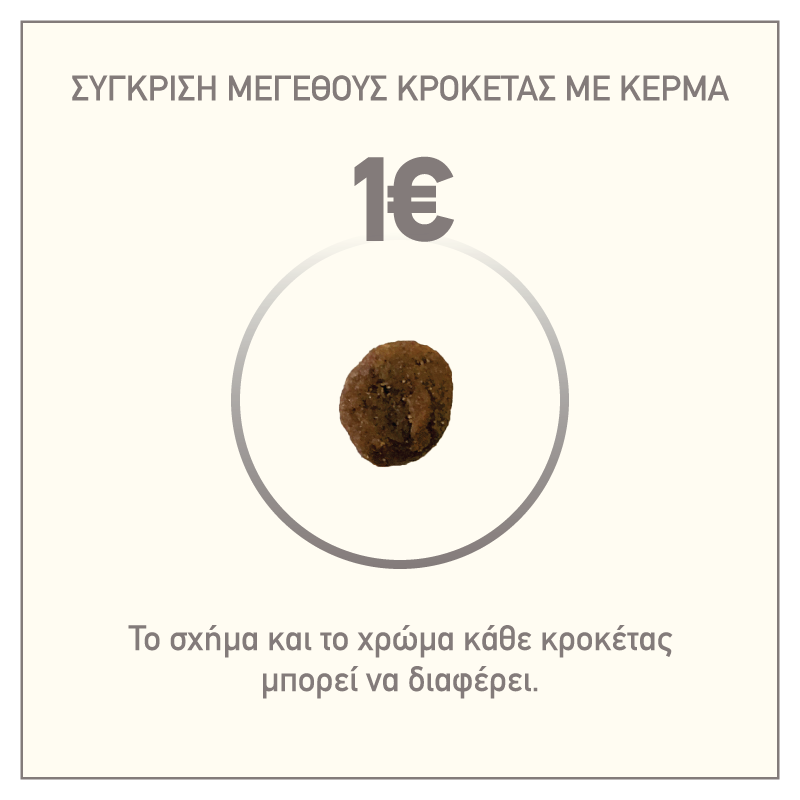 OR-Six-Fish-Cat-800×800