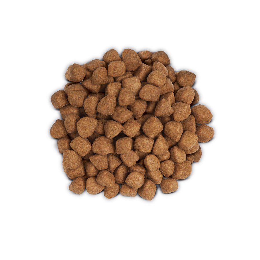 PD_Metabolic_Feline_pile_900x900px