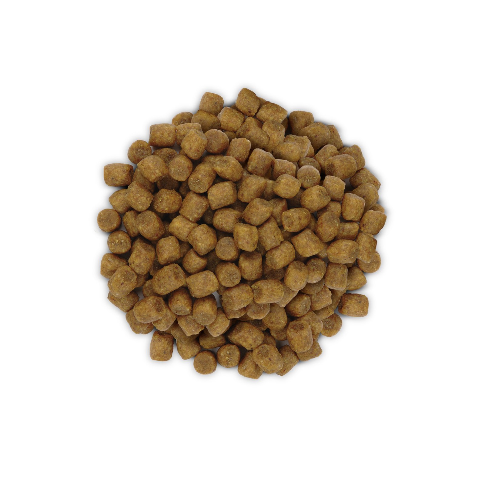 PD_ld_Feline_pile_900x900px