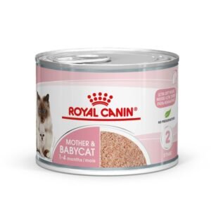 ROYAL CANIN Mother & Babycat