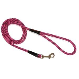 PET INTEREST Multicolor Nylon Rope