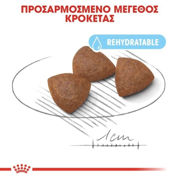 royal-canin-medium-starter-12kg-1