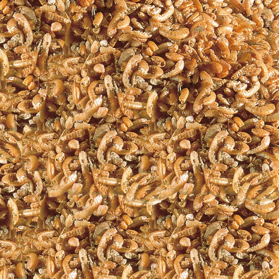 sera_Raffy_I_Nature_Detail