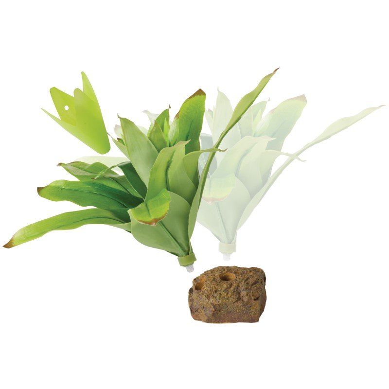 Bromelia_Instructions_1