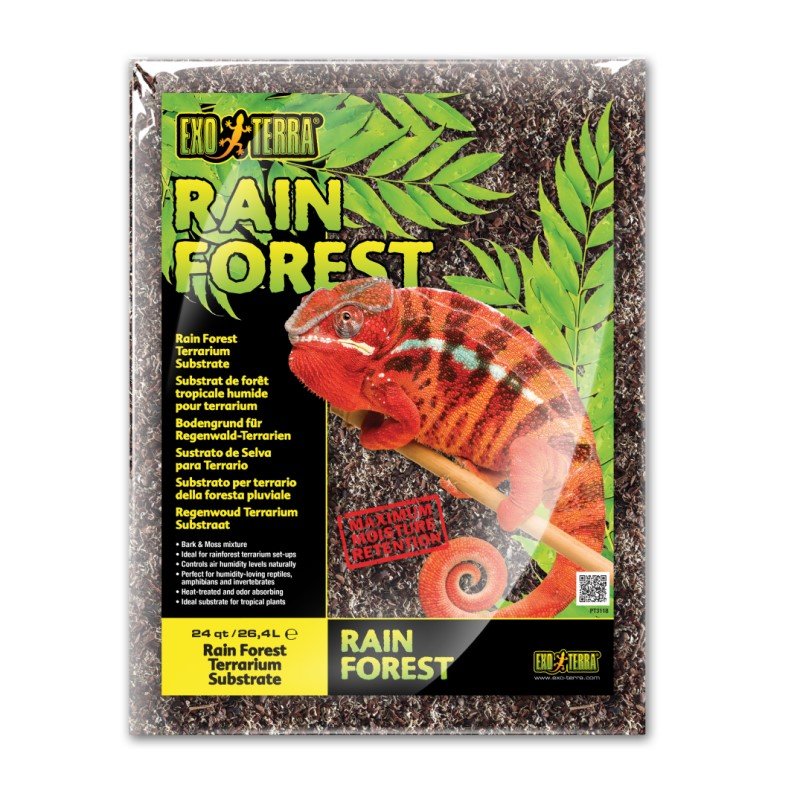 MOCK-UP_rain-forest_24QT