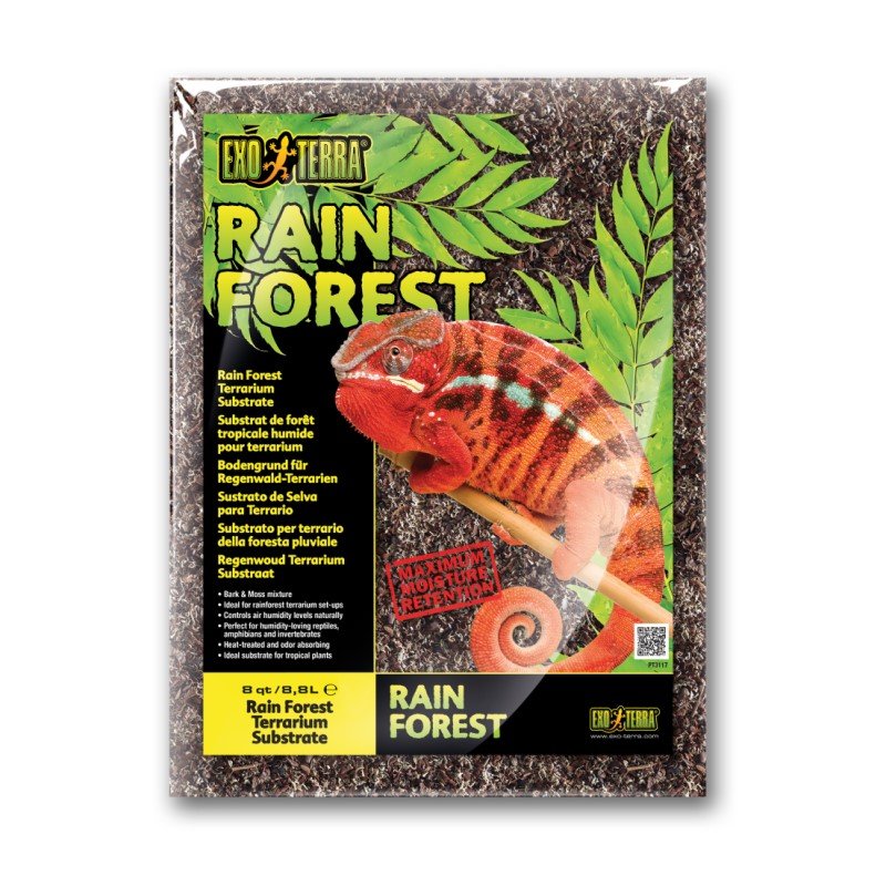 MOCK-UP_rain-forest_8QT