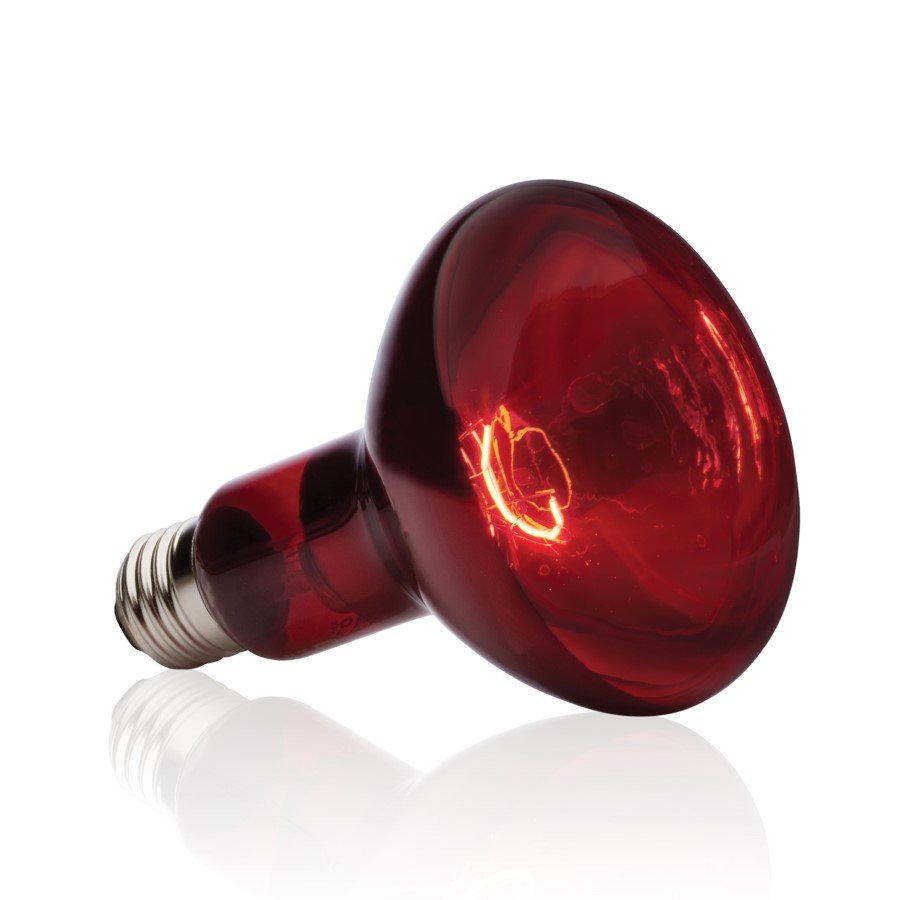 PT2146_Infrared_Basking_Spot