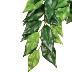 EXO TERRA Ficus (Silk) Large