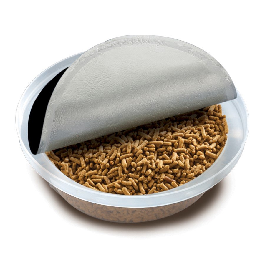 PT3205_Cup_Diet_Bearded_Dragon_Juvenile_Open