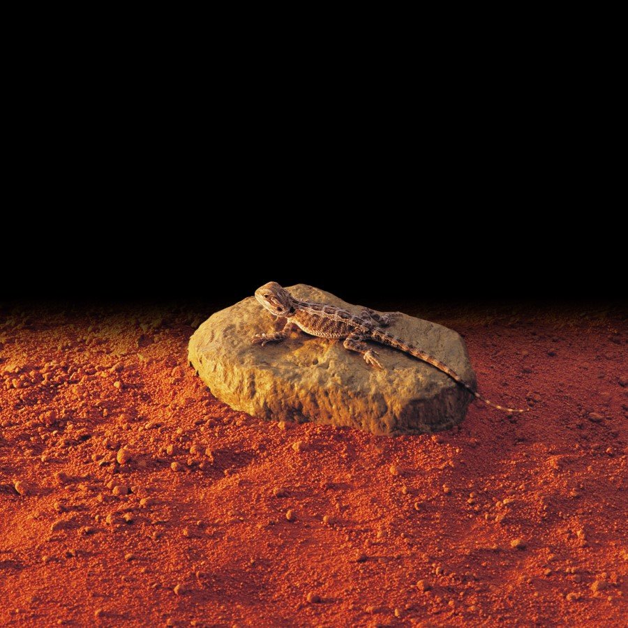 SPT2000_Heat_Wave_Rock_Use