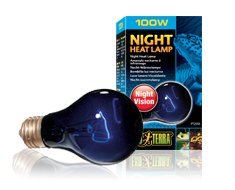 night_heat_lamp_100w_PT2058