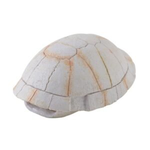 EXO TERRA Tortoise Skeleton