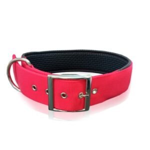 PET INTEREST Neoprene Standard Large Collars