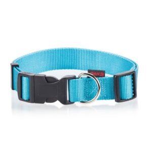 PET INTEREST Plain Line Fluo Colors Collars
