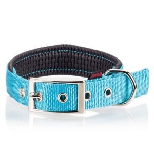 PET INTEREST Neoprene Standard Fluo Colors Collars