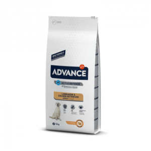 ADVANCE Labrador & Golder Retriever