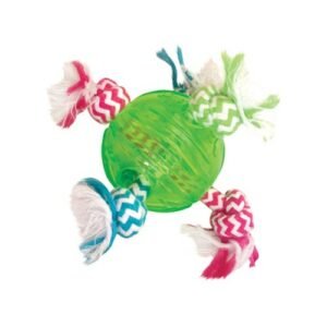 PET INTEREST Fun Rugs Puppy TPR Toy Ball