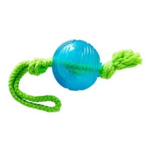 PET INTEREST TPR Ball Boldon