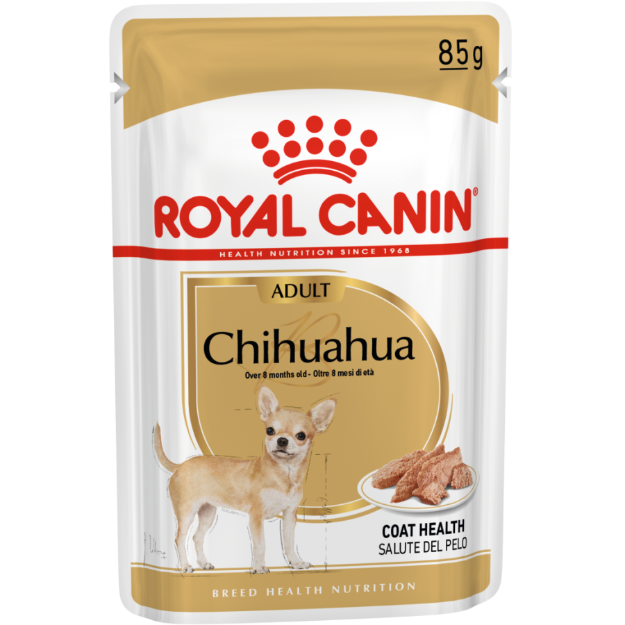 BREED-18_CHIHUAHUA_S_POUCH_85_Low_Res.___Web_69392
