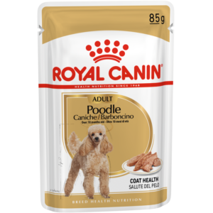 ROYAL CANIN Adult Poodle