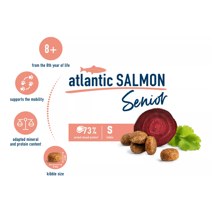 HC_Senior_atlantic_salmon_EN_02