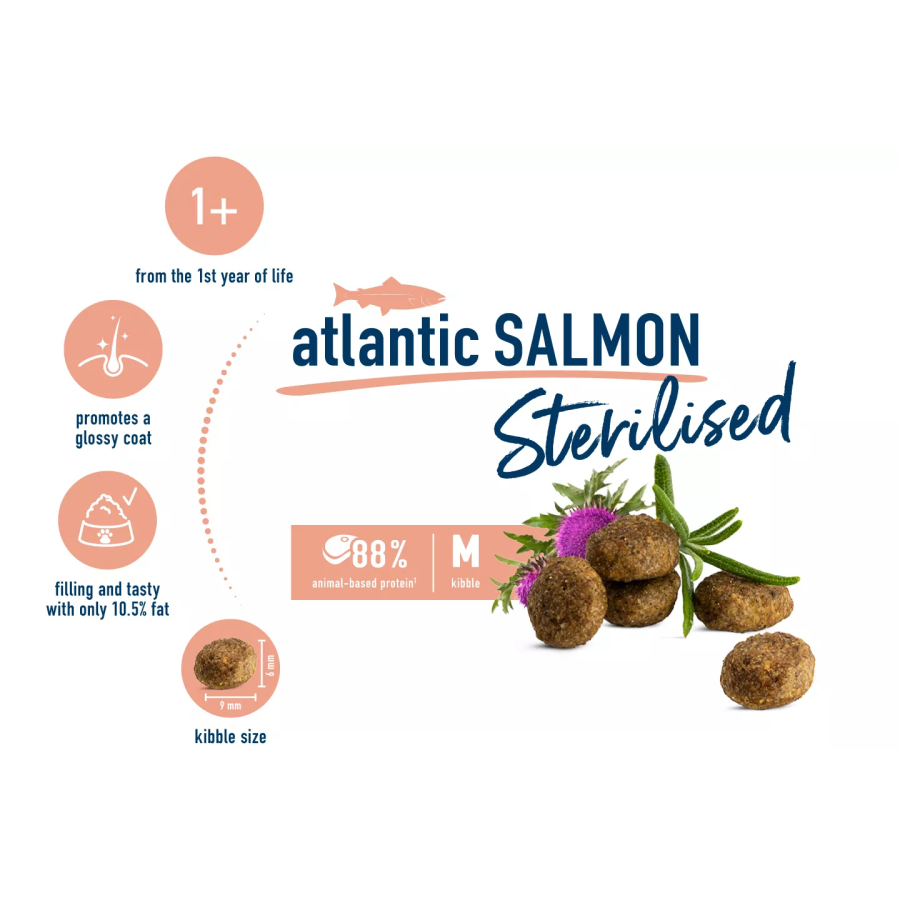 HC_Sterilised_Adult_atlantic_salmon_EN_02