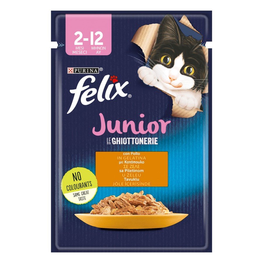 12480364_FELIX JUNIOR ΚΟΤΟΠΟΥΛΟ ΣΕ ΖΕΛΕ